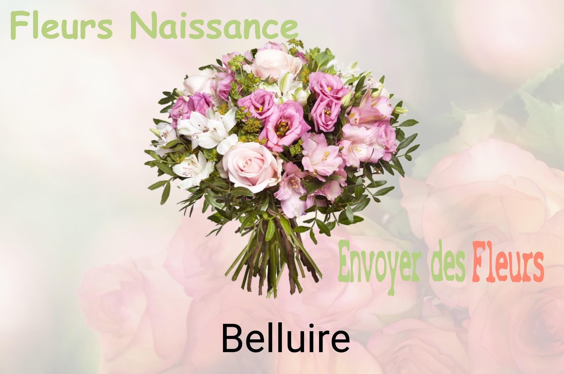Bouquet de fleurs de naissance livré à Belluire