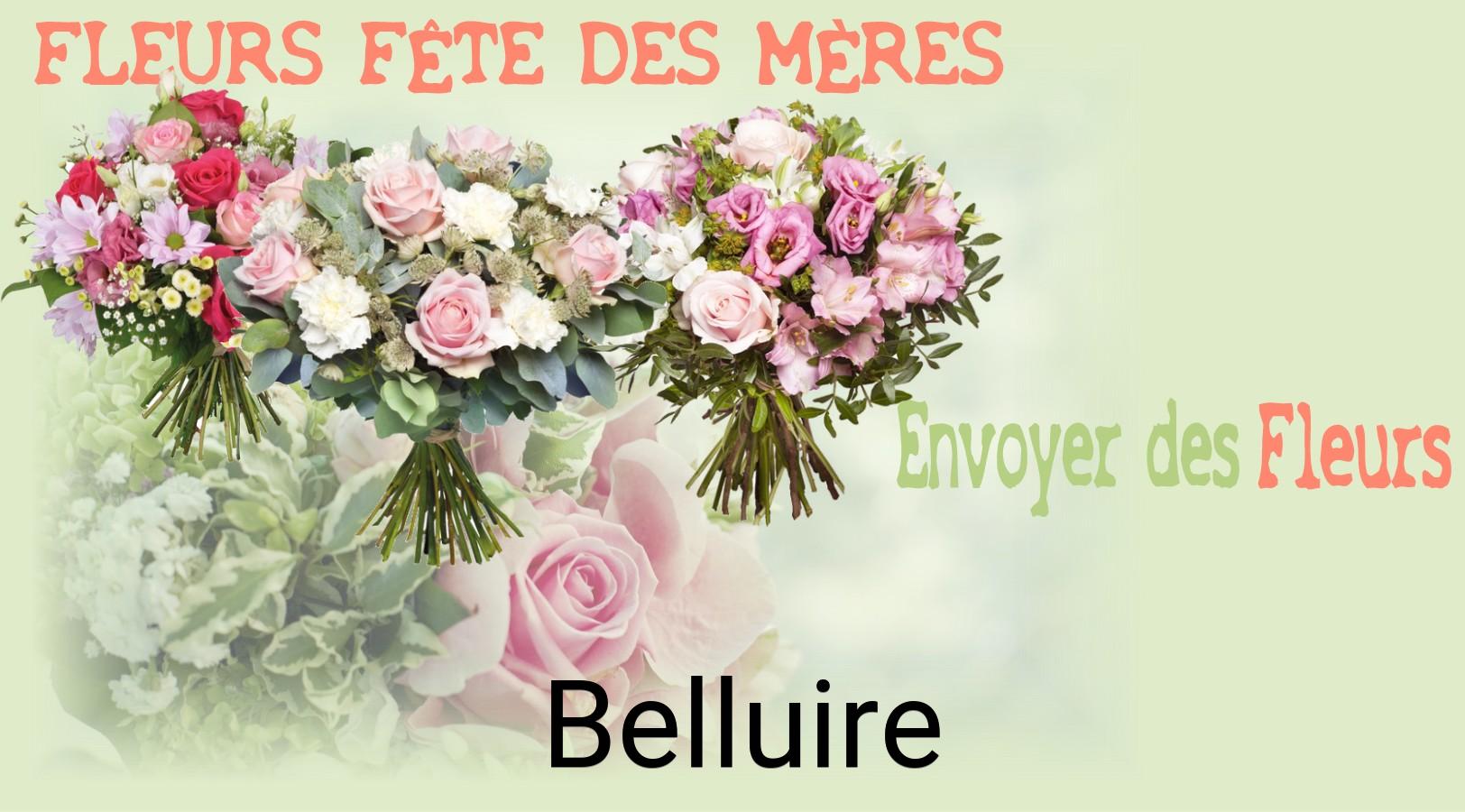 Bouquet de Fête des Mères livré à Belluire